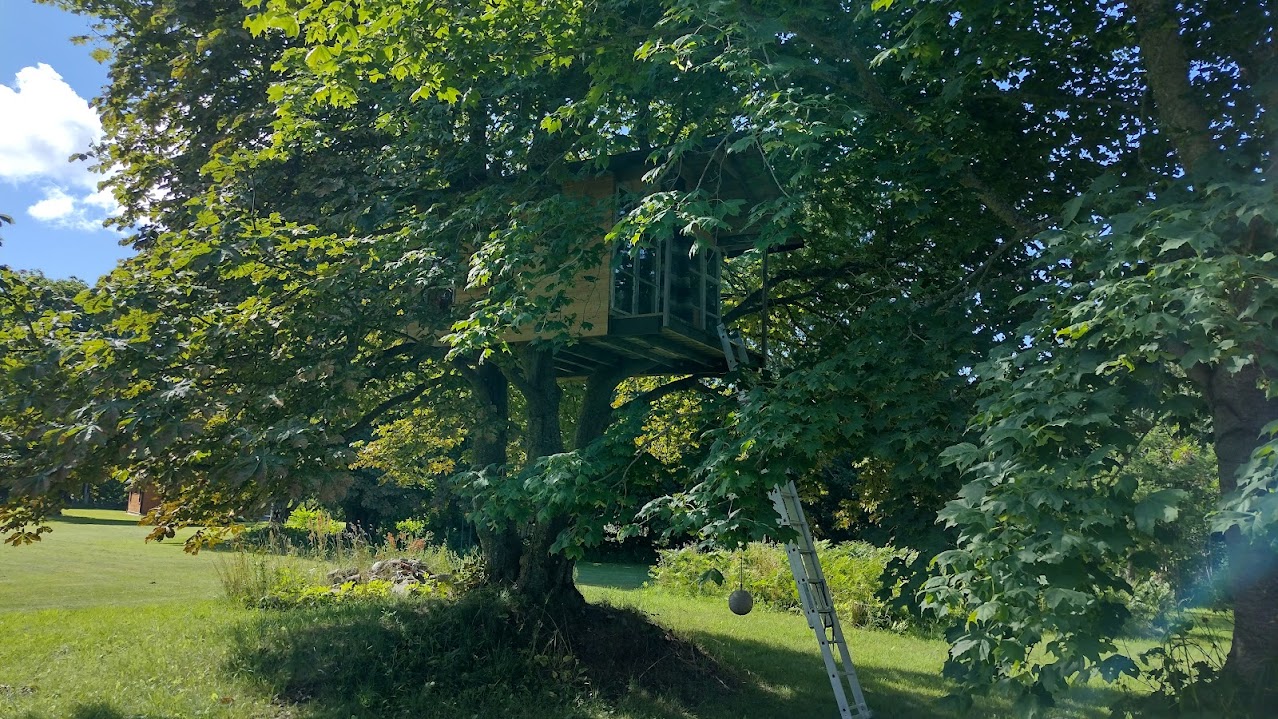 The Treehouse, Saaremaa, Estonia