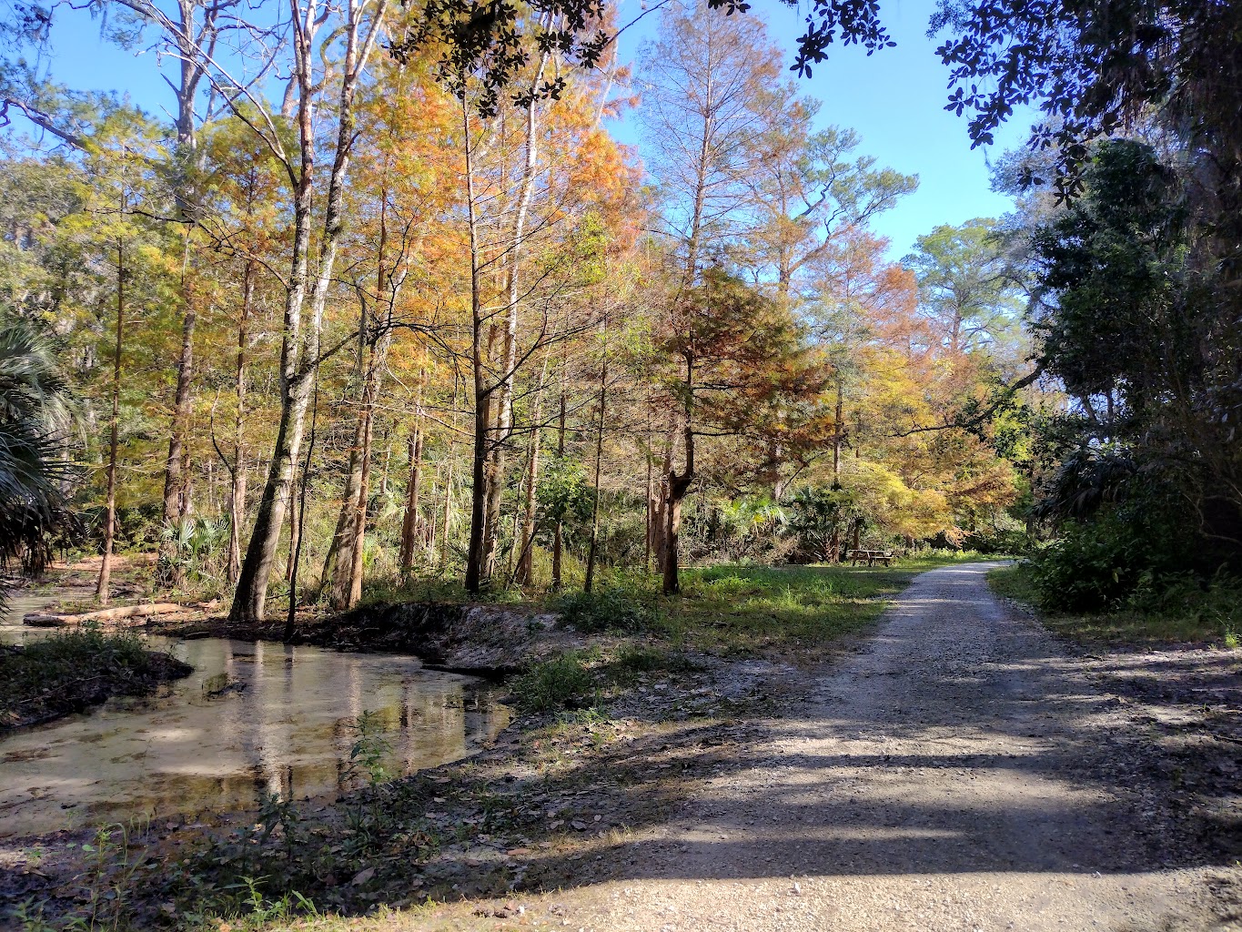 Ravine Gardens State Park, Palatka, Florida