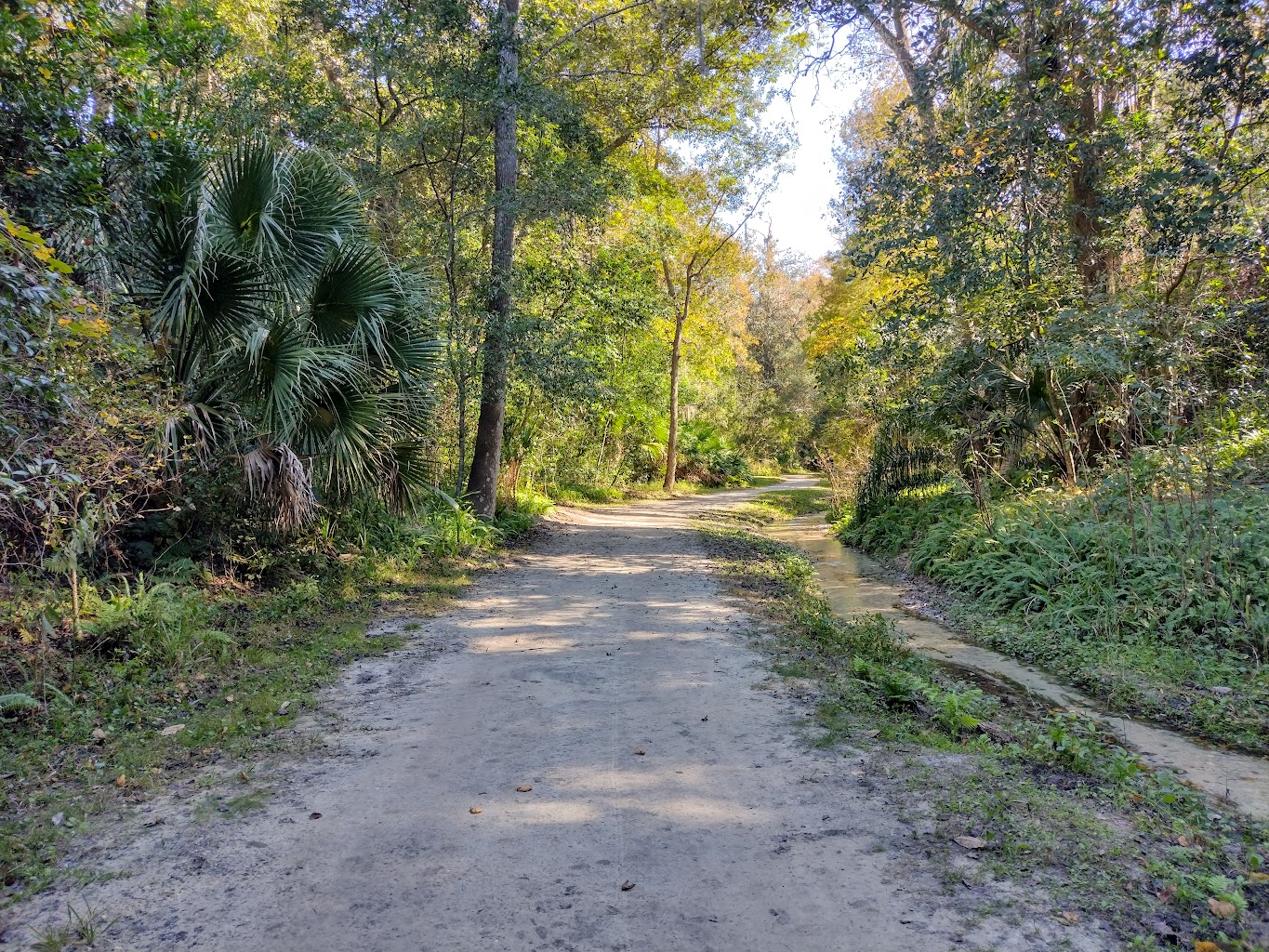 Ravine Gardens State Park, Palatka, Florida