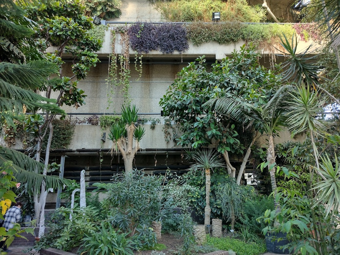 Barbican Conservatory, London