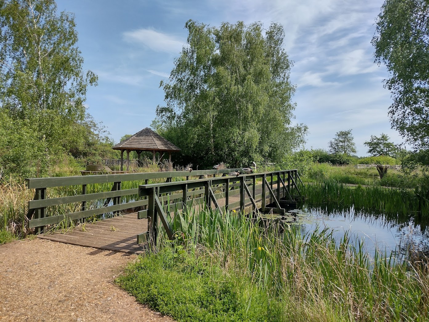 A bridge over water at WWT, Barnes, London