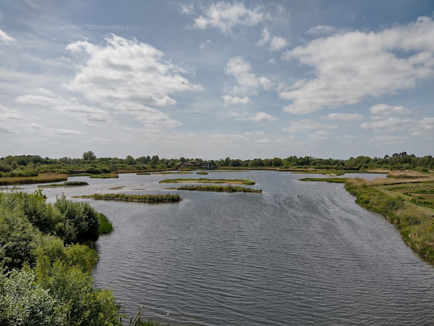 The wetland reserve at WWT, Barnes, London