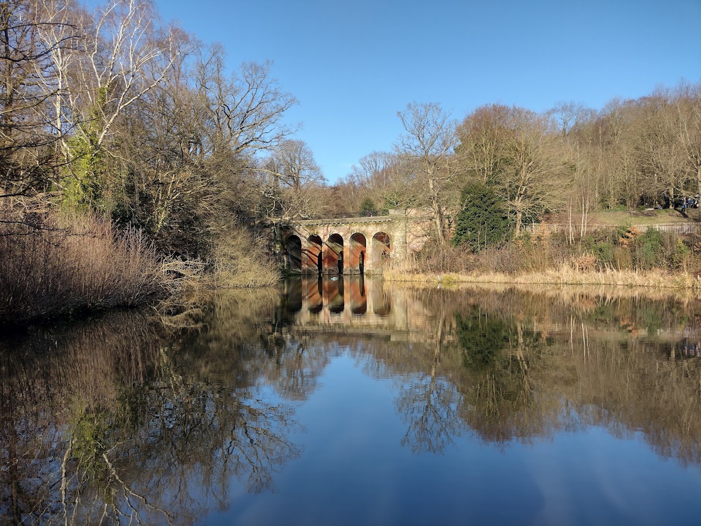 Hamstead Heath, London