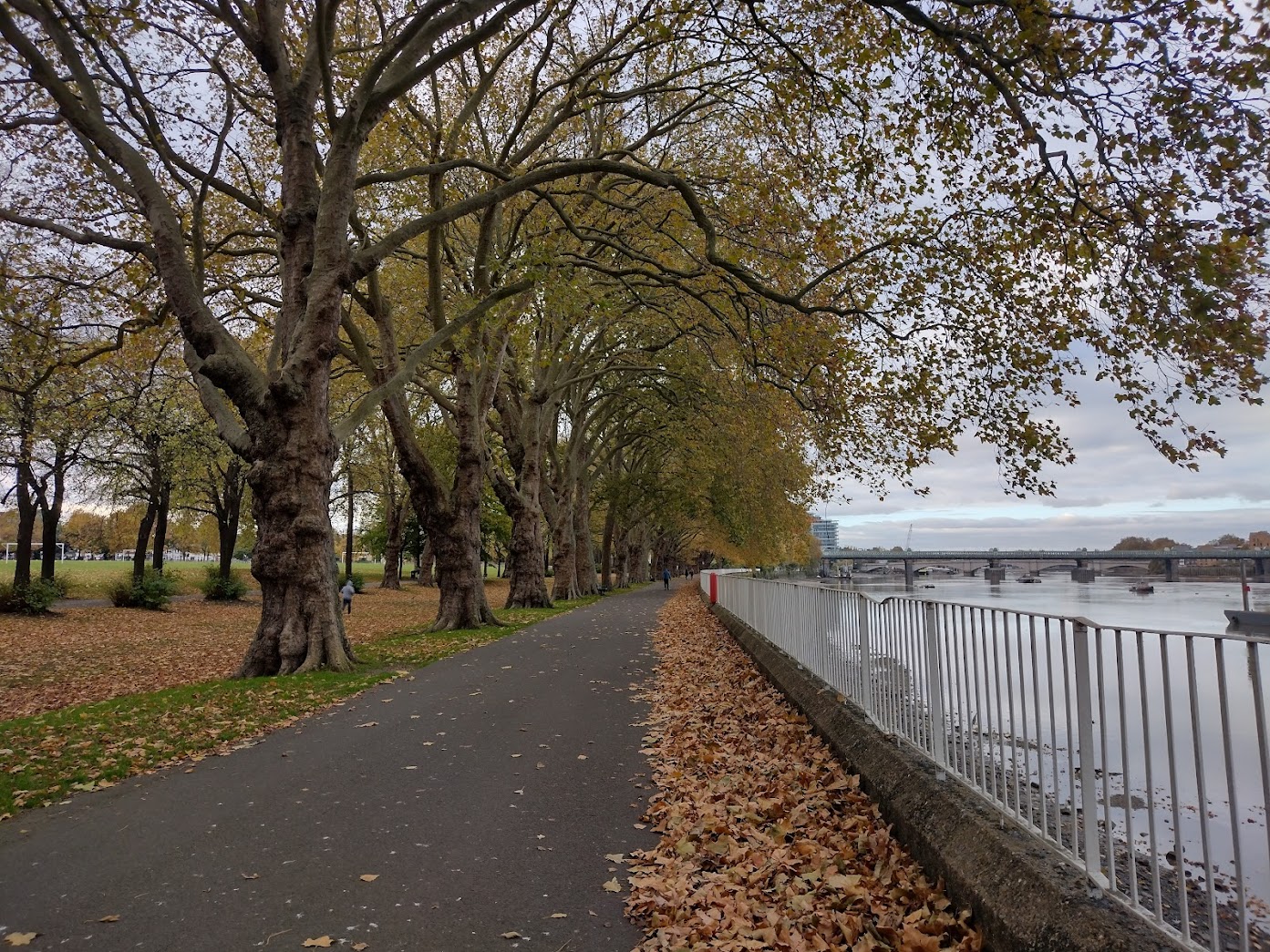 Wandsworth Park in the autumn, Putney, London