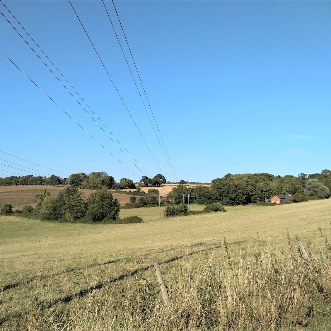 Trimley Marshes, Suffolk